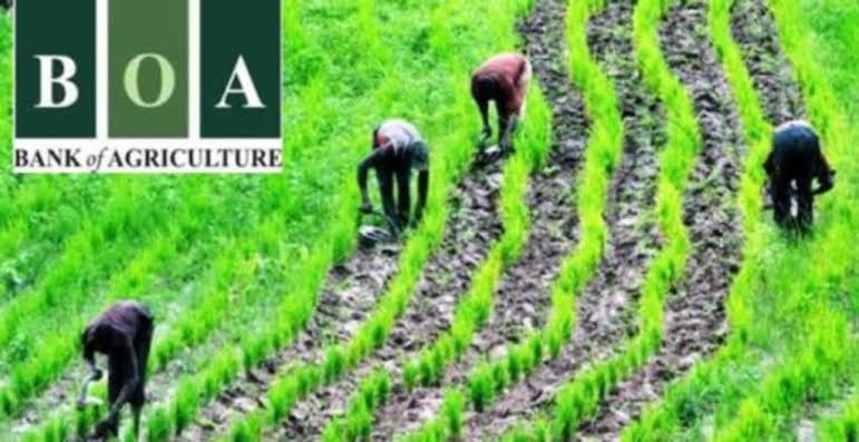 agricultural opportunities in nigeria