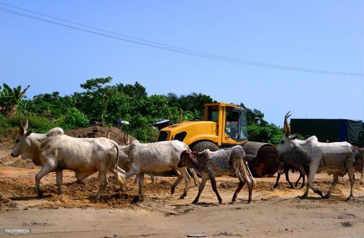 importance of agriculture