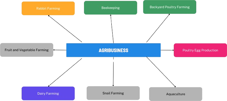 agribusiness opportunities in nigeria