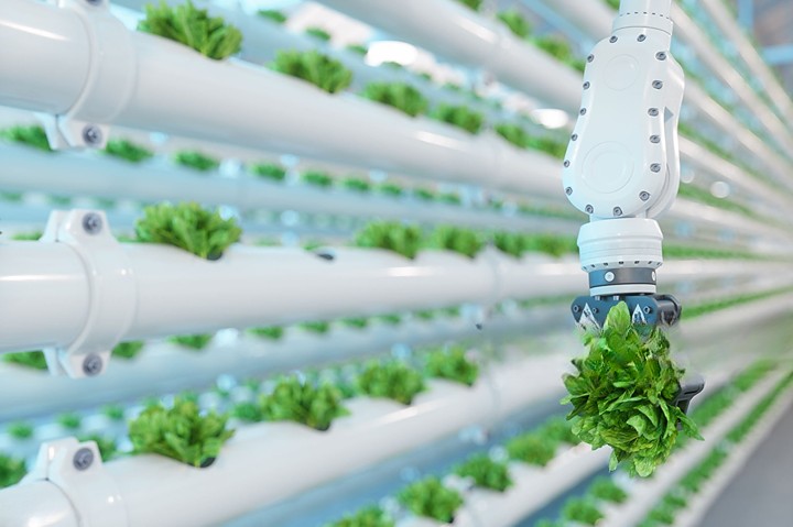 robot harvesters in modern agriculture