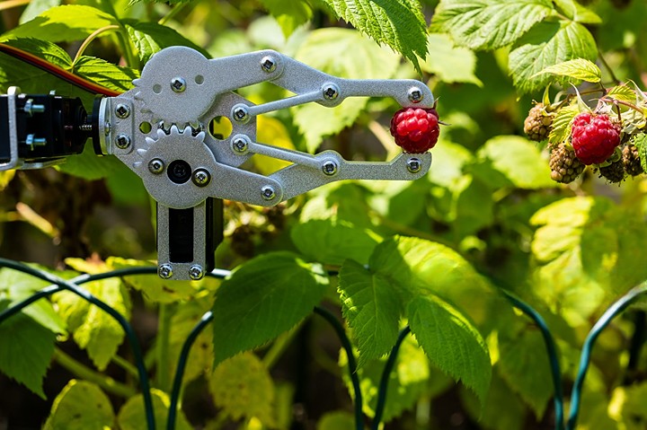 robot harvesters in modern agriculture