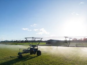 robot harvesters in modern agriculture