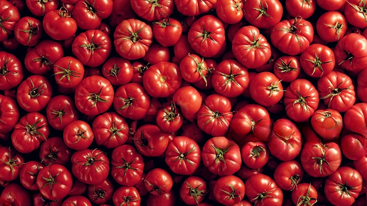 How To Successfully Grow Tomatoes in Your Backyard Garden