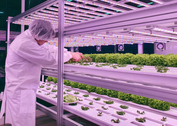 how to start a vertical farming business